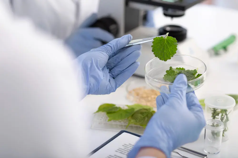 food testing in UAE